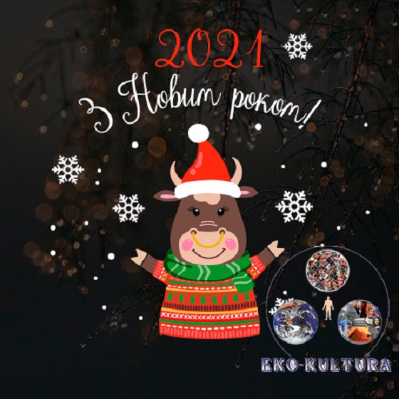 изображение_viber_2020-12-31_15-41-07.jpg